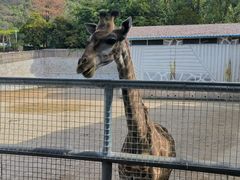-泉州海丝野生动物世界