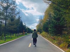 -横道河子东北虎林园