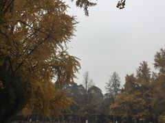 -四川大学(华西校区)