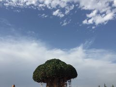 -骏途旅游