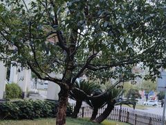 -小八仙·八方(移民广场店)