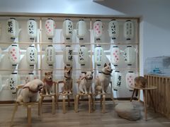 -柴迷FANS CLUB·柴犬狗咖·猫咖
