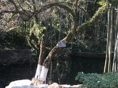 -广东温泉宾馆