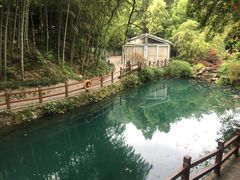 -十八棵（老龙井）御茶园(老龙井店)