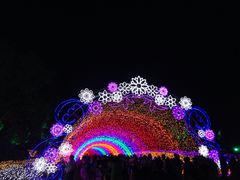 -秀丽东方