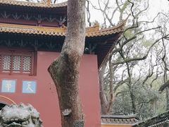 -普陀山风景名胜区-法雨禅寺