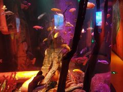 -沈阳海洋探索中心