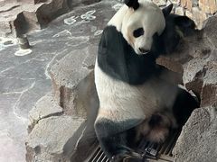 -济南野生动物世界