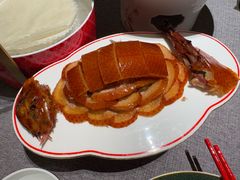 -秀儿四九城·新京菜(亚运村鸟巢店)