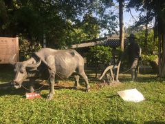 -广州神农草堂中医药博物馆