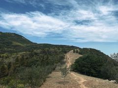 -北京鹫峰国家森林公园