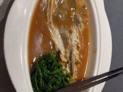 -沈灶河豚宴·河豚融合餐厅(汉中路店)