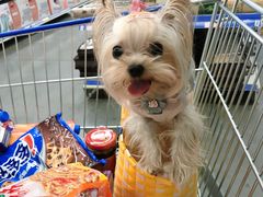 -麦德龙(郑东店)