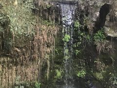 -杭州黄龙洞