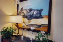 -咪咪比基尼脱毛专业店