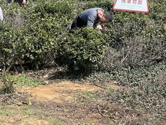-南京市江宁方山