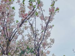 -观澜湖生态运动公社