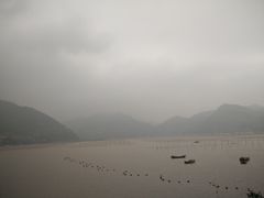 -北岐滩涂