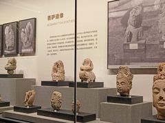 -四川大学博物馆
