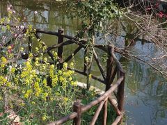 -南汇桃花村