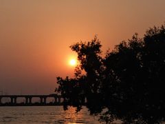 -宝安西湾红树林湿地公园