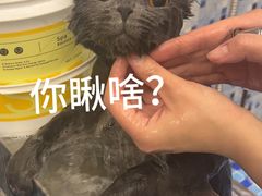 -FAELING PETS美天灵宠物(富力广场店)