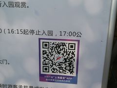 -嘉定紫藤园