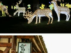 -秀丽东方