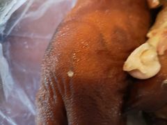 -济南孟家扒蹄店