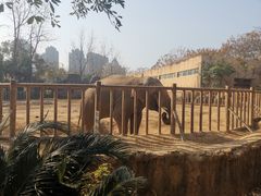 -南昌动物园