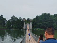 -东湖落雁景区