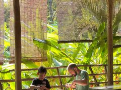 -大象粑粑造纸公园