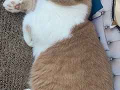 -脊元康推拿整脊养生馆