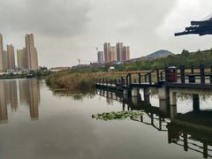-前关湿地公园