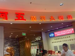-阿五黄河大鲤鱼(海尚店)