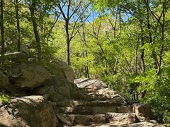 -大岭沟猕猴桃谷风景区