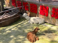 -庐山西海主景区