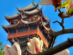 -塔子山公园