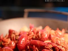 -君悦酒店·乐厨·高空自助餐(青年大街店)