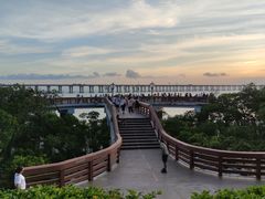 -宝安西湾红树林湿地公园