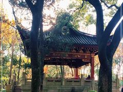 -汇龙潭