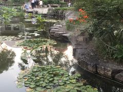 -文瀛公园
