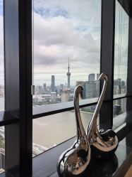 点击看大图 -智美品质医美