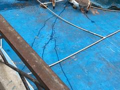 -泉州海丝野生动物世界