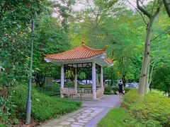 -火炉山森林公园