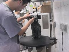 -达爱动物医院·犬猫分区·CT·复杂眼科(远洋山水分院)