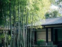 -南山植物园