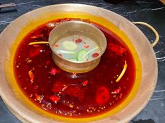 -杨家火锅(国美店)