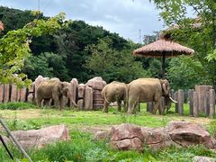 -沈阳森林动物园