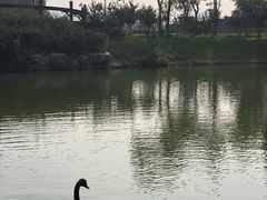 -河北省园博园
